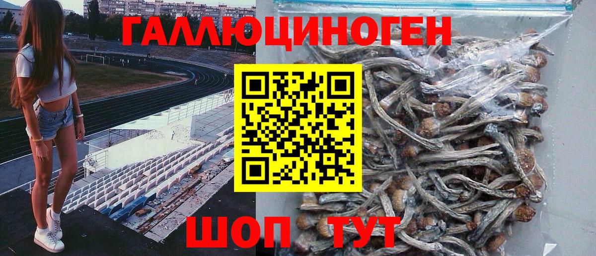 Псилоцибиновые грибы GOLDEN TEACHER Кондопога