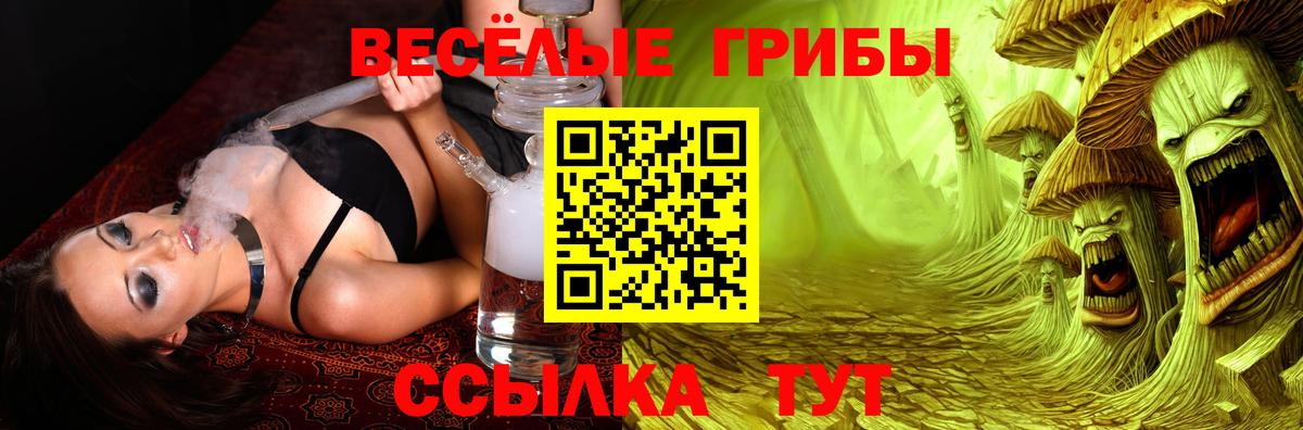 Галлюциногенные грибы GOLDEN TEACHER  Вход с VPN  Кондопога  Галлюциногенные грибы ЛСД 